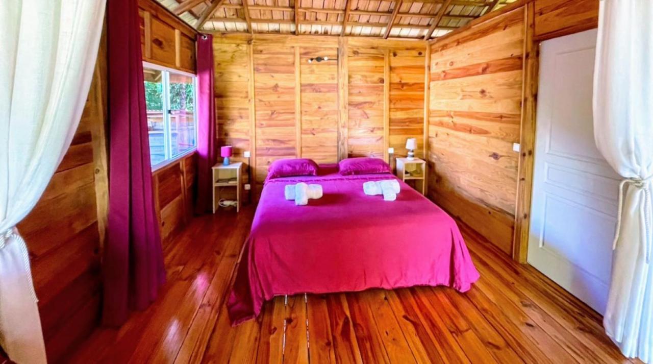 Raiatea - Orion Pool Bungalow Uturoa Extérieur photo
